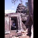 Cambodia Ta Prohm 14