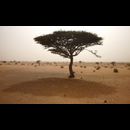 Sudan Desert Walk 5