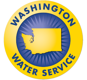 Washington County Service Authority