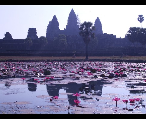 Cambodia Angkor Temple 6