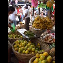 Nic Granada Markets 11