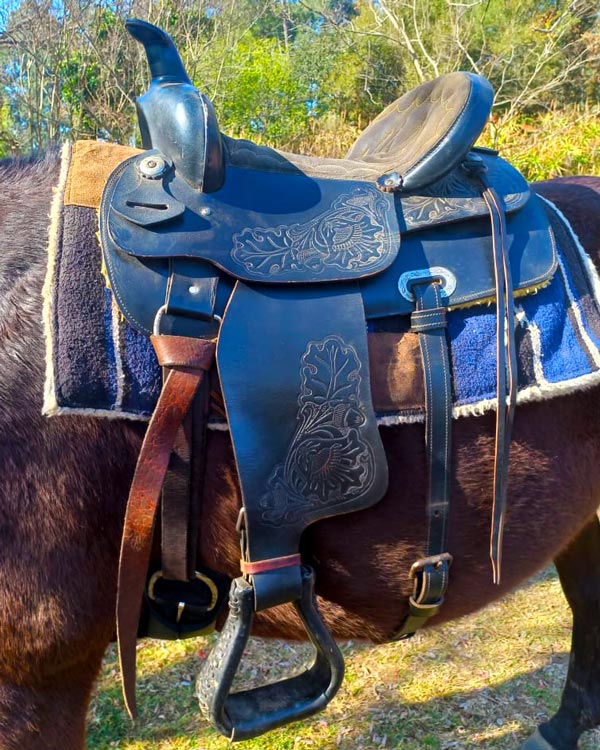 A horse saddled with a cowboy saddle.