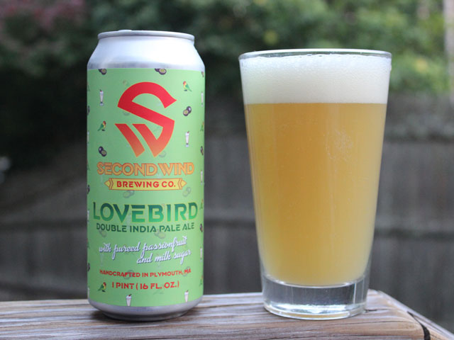 A 16oz can of Lovebird poured into a pint glass