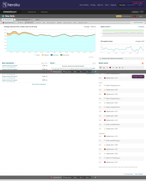 New Relic Overview Screenshot