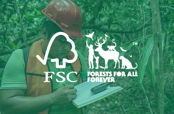 Forest Stewardship Council Denmark