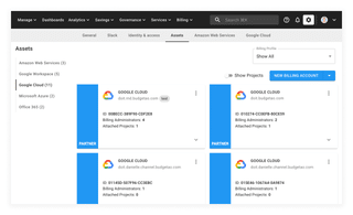 A screenshot showing the Google Cloud assets page