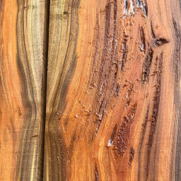 sinker cypress wood texture