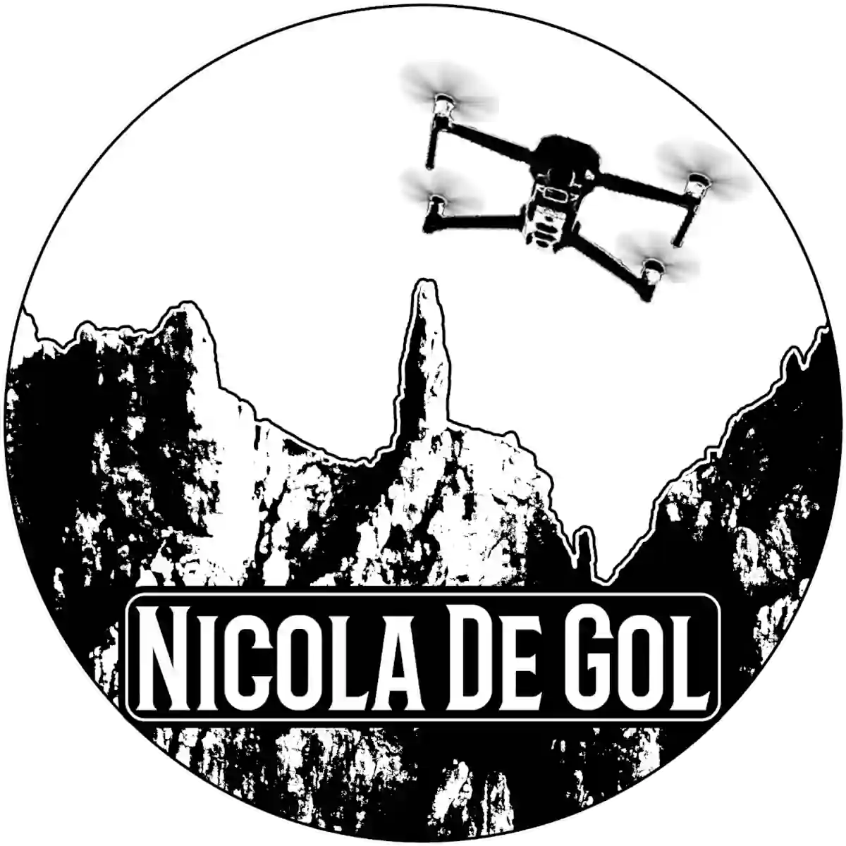 logo Nicola De Gol circolare