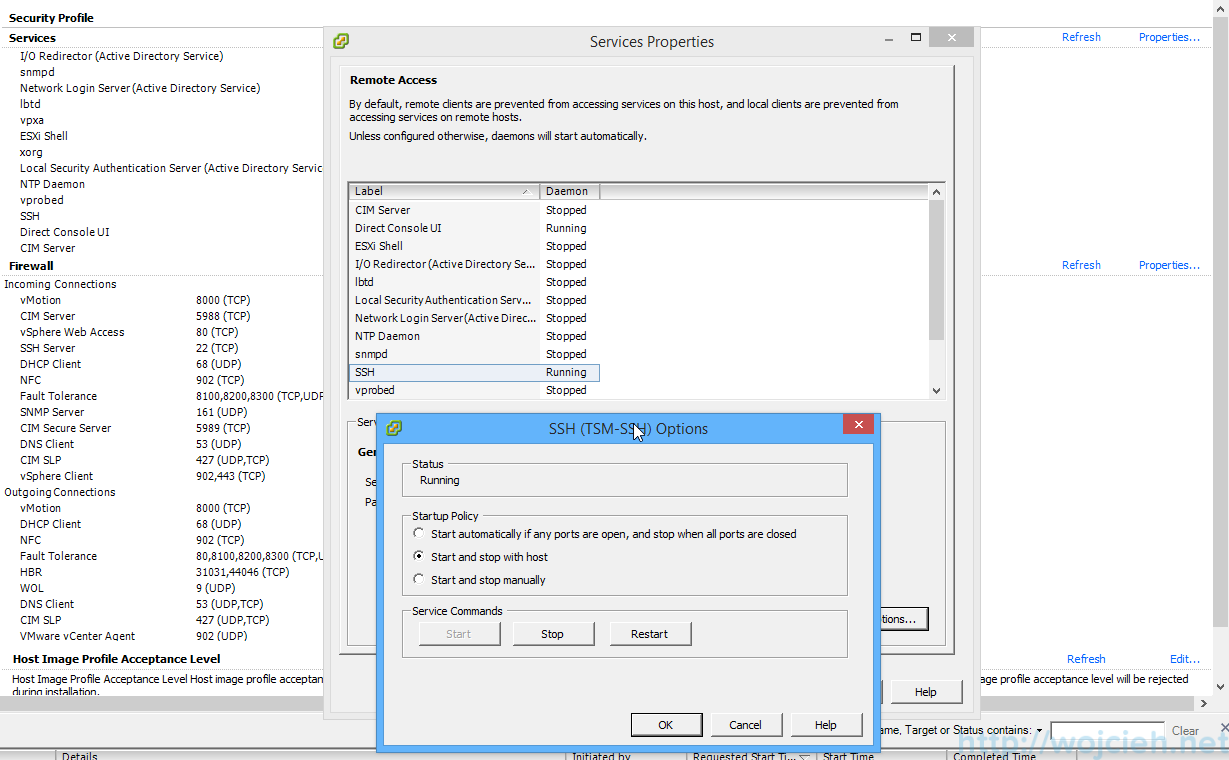 How to enable winscp for esxi How to enable winscp for esxi vnc server vs x server