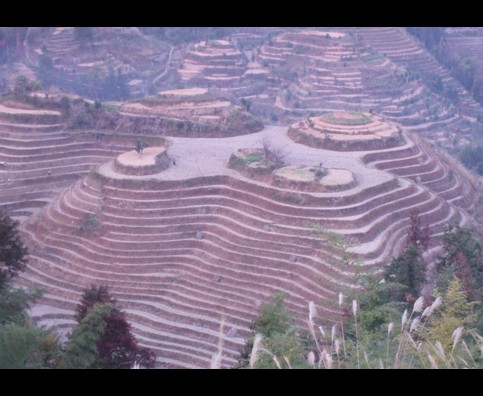 China Rice Terraces 7