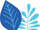 blue leaves drawing