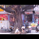 China Ruilli Streets 29