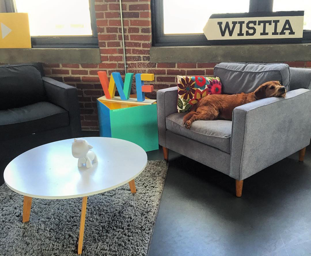 Wistia 3