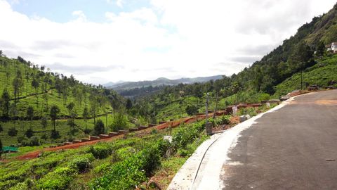 View of the plot and valley