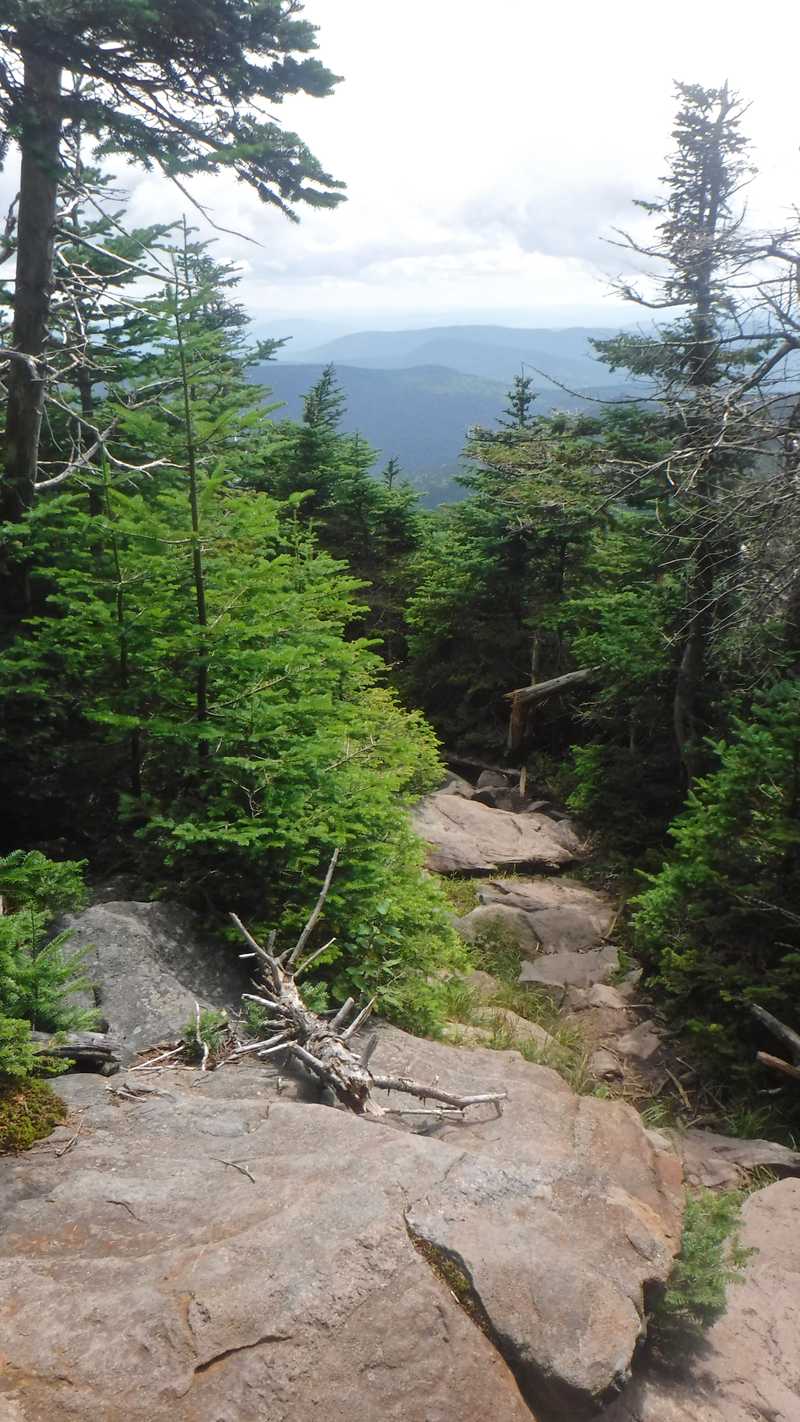 View from rocks on Mt. Moosilauke descent