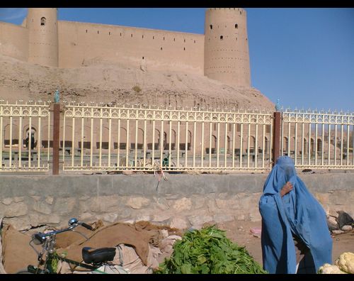 Herat citadel 5