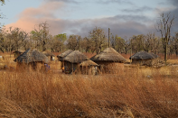 huts and drygrass