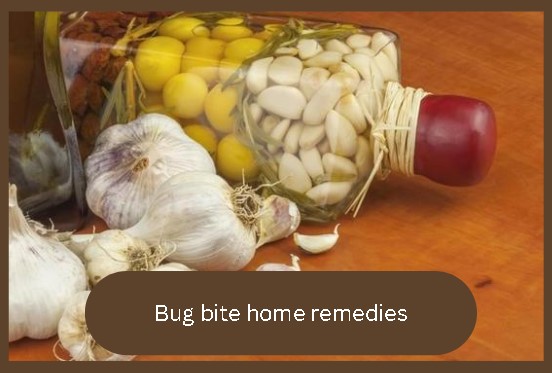 home-remedies-for-bug-bites-that-itch-and-swell-full-guide