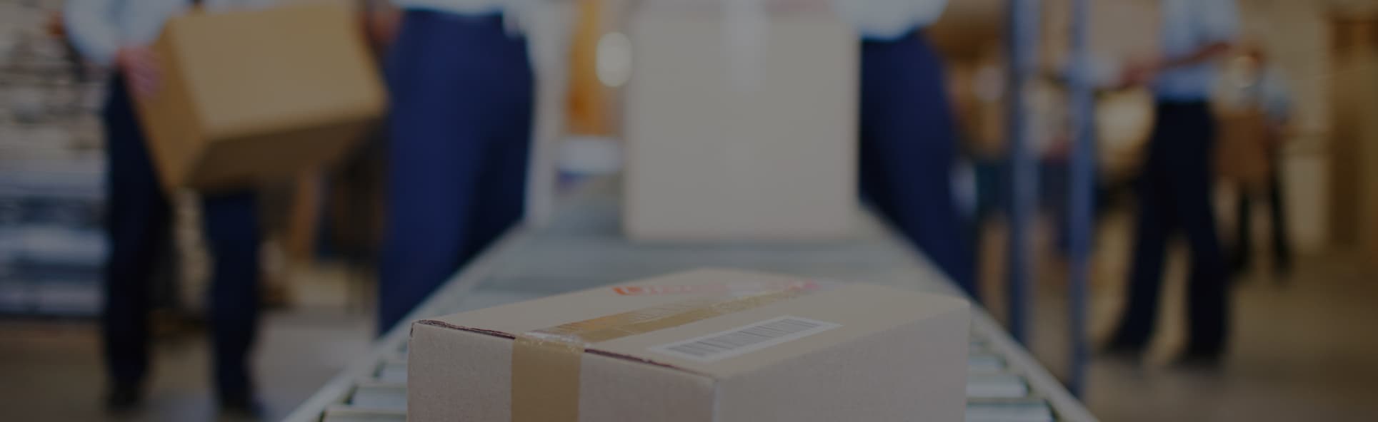 Hum Shipping and Ordering FAQs Hum by Verizon