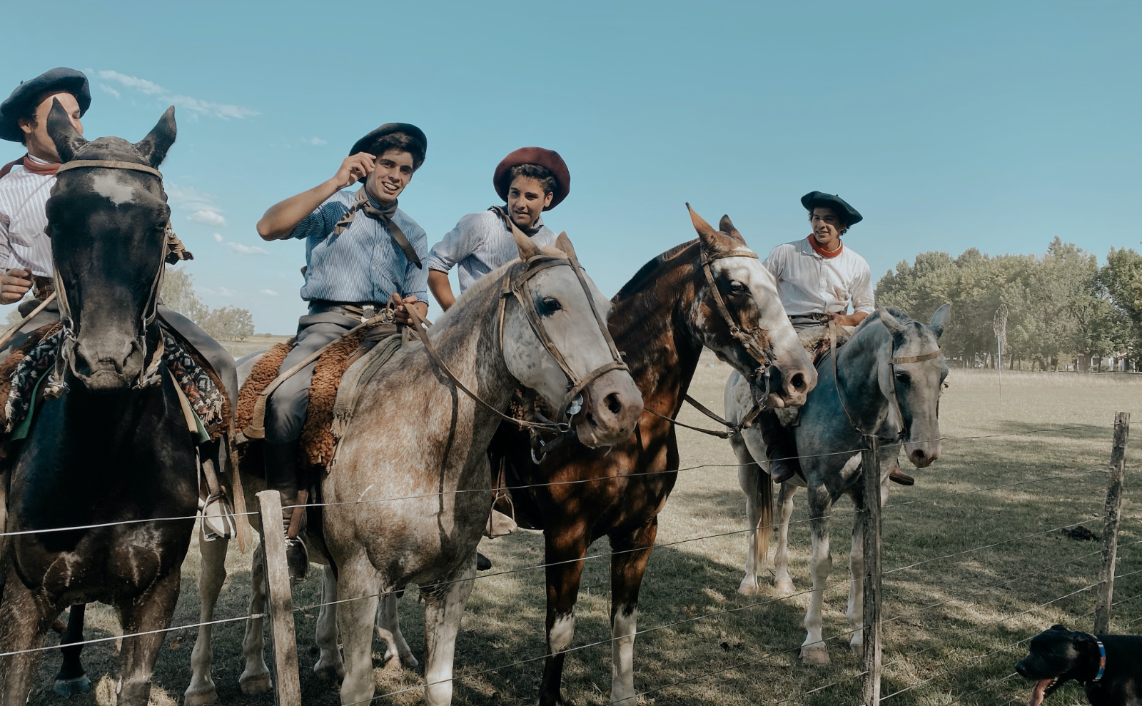 four young men on horses wearing white button shirts with handkerchiefs around their necks and berets