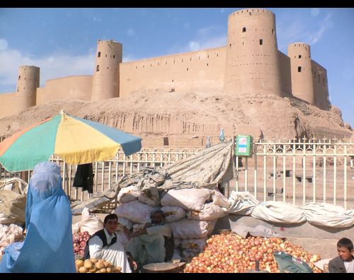 Herat citadel 3