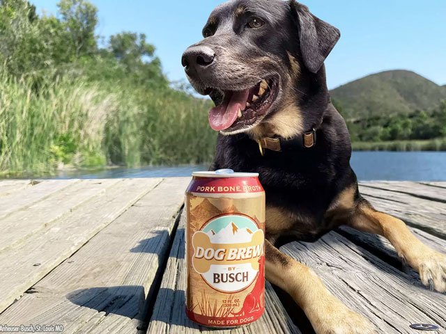 A dog and a can of Busch Dog Brew