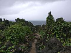 Path to Togo Chasm