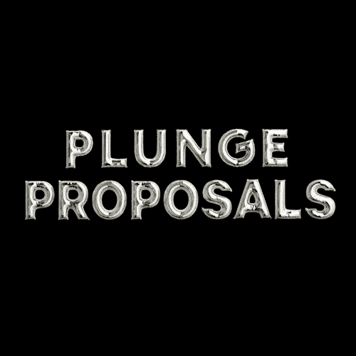 Plunge Proposals Banner in Motion