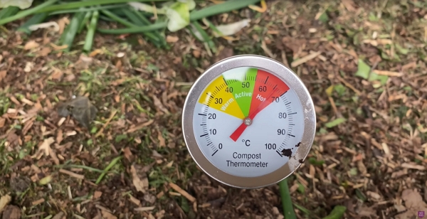 Compost thermometer indicating 66 °C