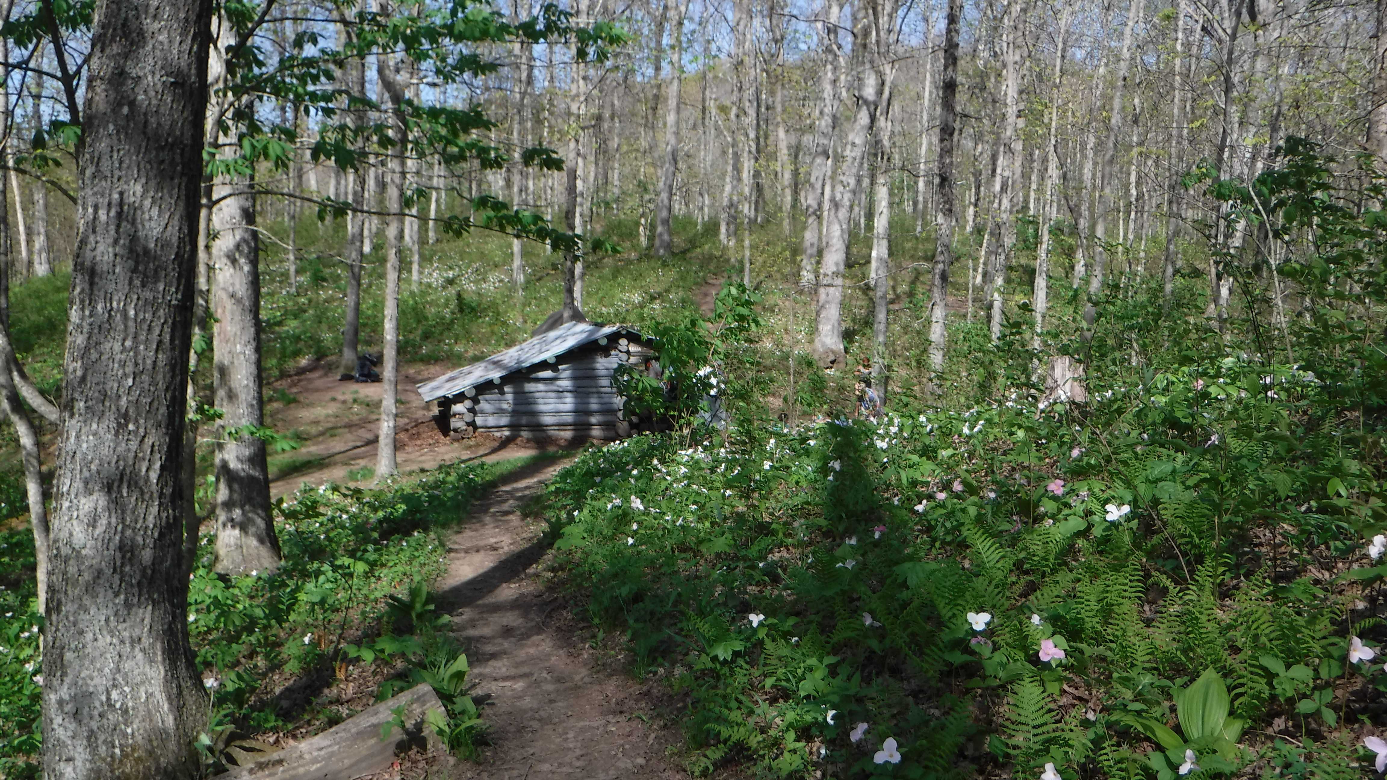 AT 2017 Day 23, Hot Springs to Little Paint Creek Trail Hike with