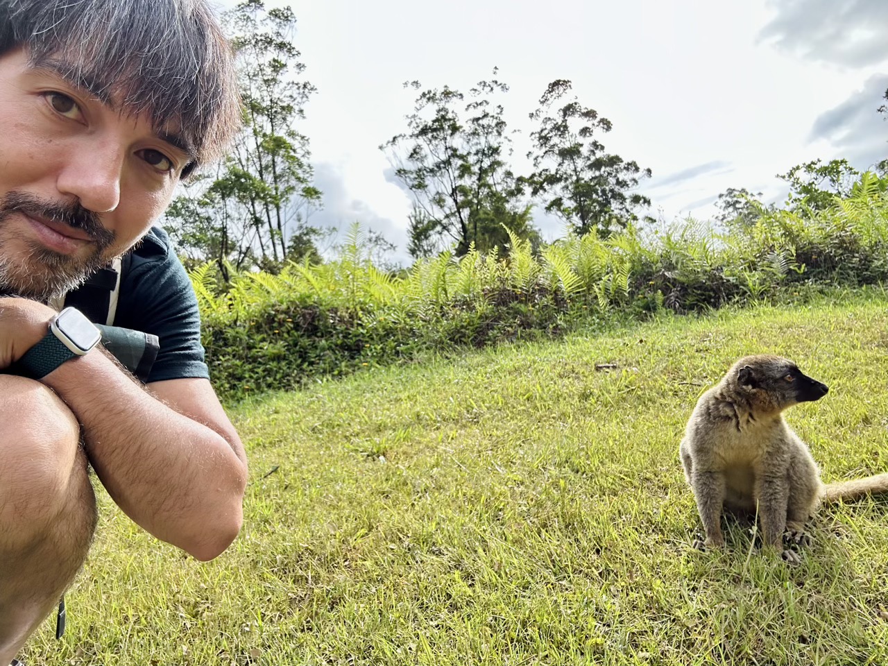 Selfie with a lemur, part i