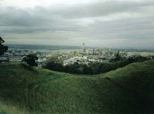 Auckland city