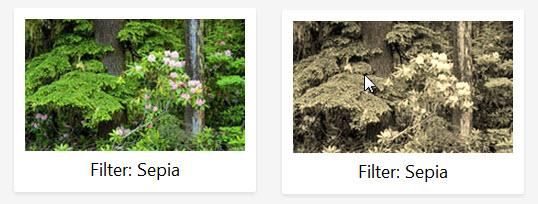CSS3 filter Sepia