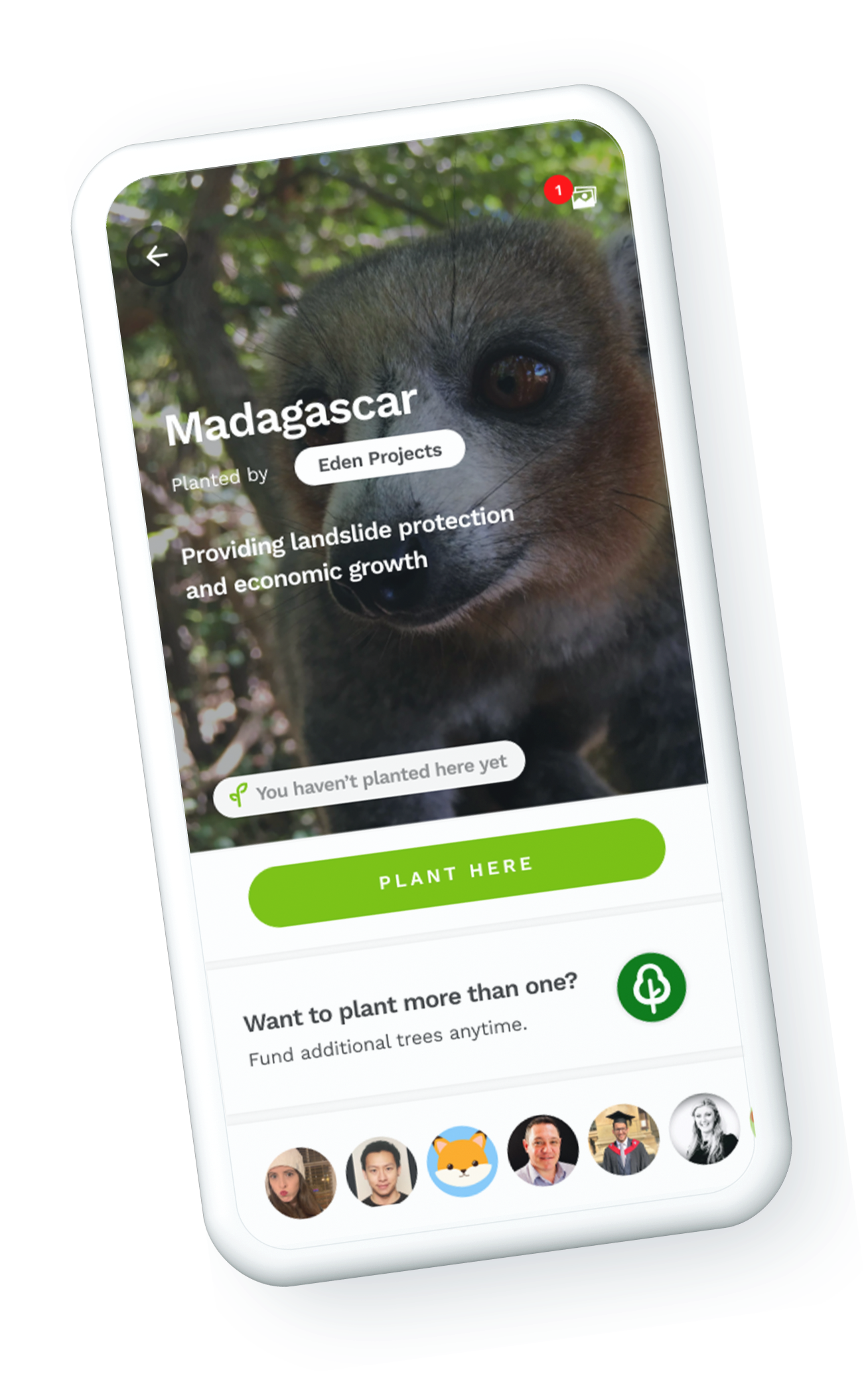 Madagascar Project Page on Treeapp