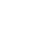 Moth
