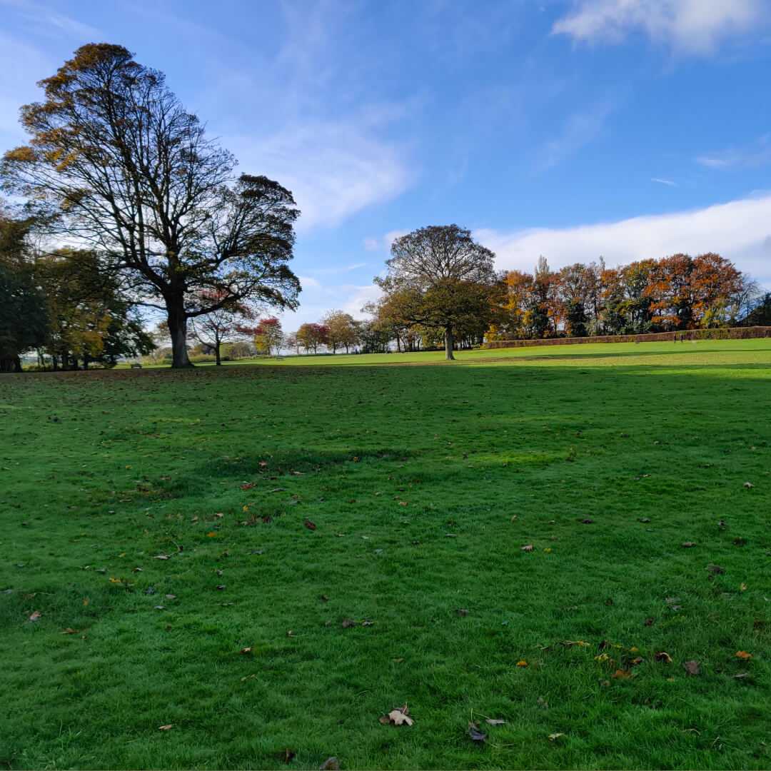 Farnley Hall Park field