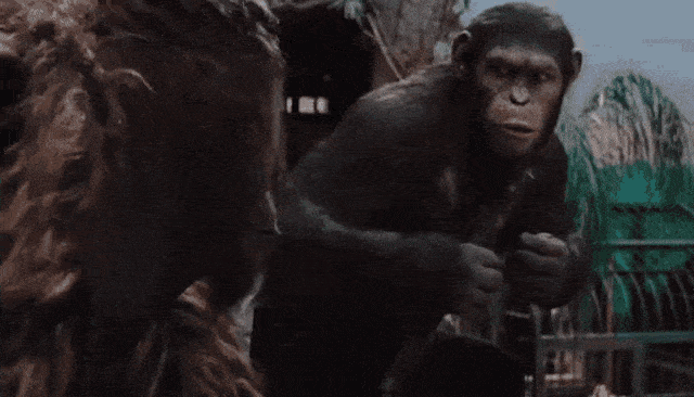 Apes together strong