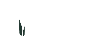 frugalBucharest.club