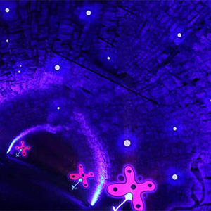 VIAGGIATORI NEL TEMPO