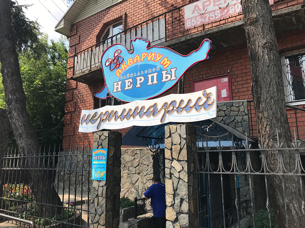 The nerpa aquarium in Irkutsk, housed in a residential brick home.
