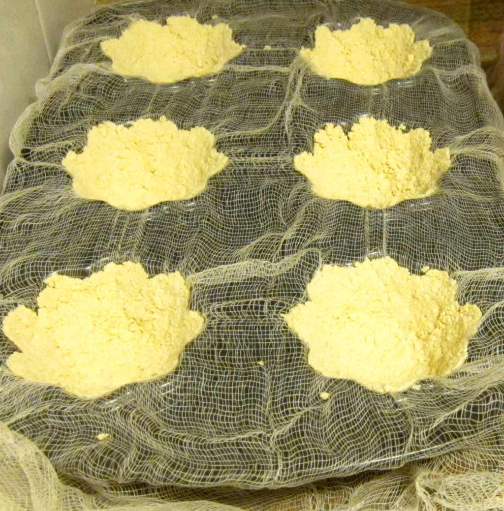 making vegan tofu turkey for thanksgiving