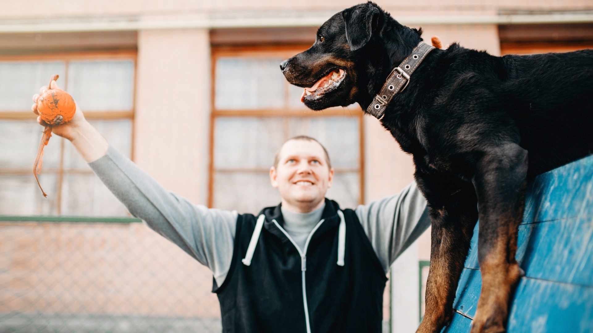 Why You May Want To Consider Relationship-Based Dog Training