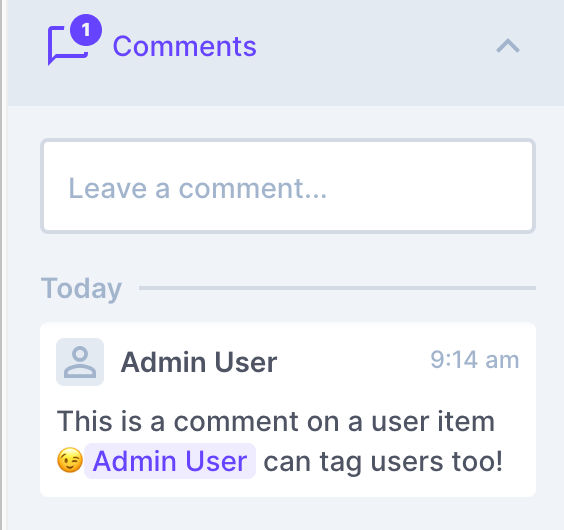 A comment in Directus can tag other users