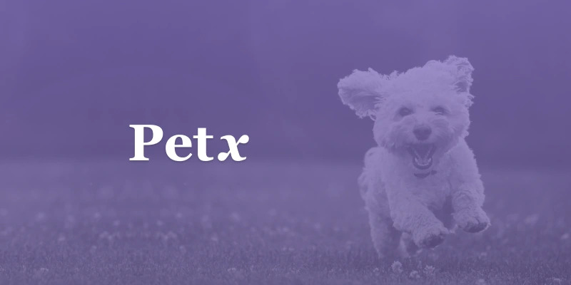 Petx's logo on a purple background with a poodle (dog) running on the right side