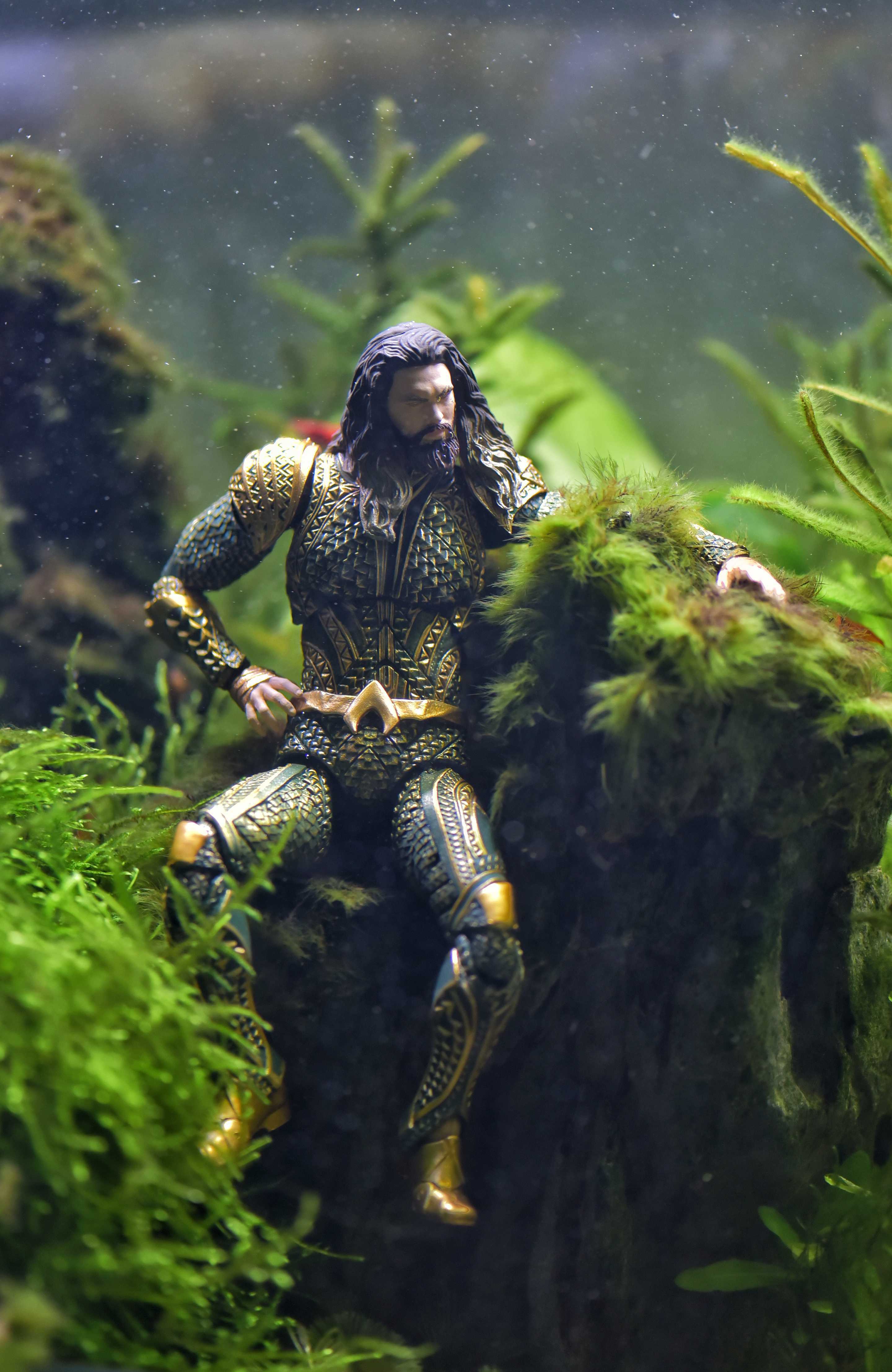 Aquaman In Fish Tank