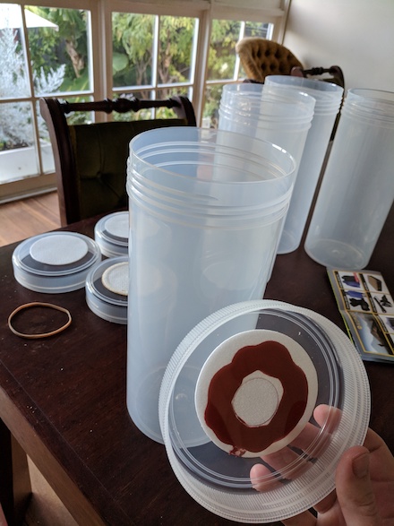 Converting cylindrical containers to fruiting vessels