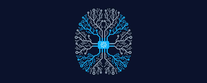 Machine translation workshop
