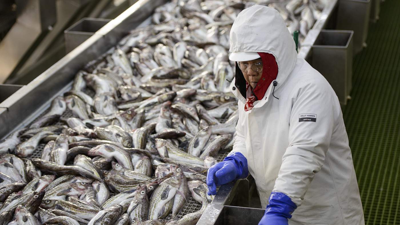 Alaska pollock fishing: It runs in the family