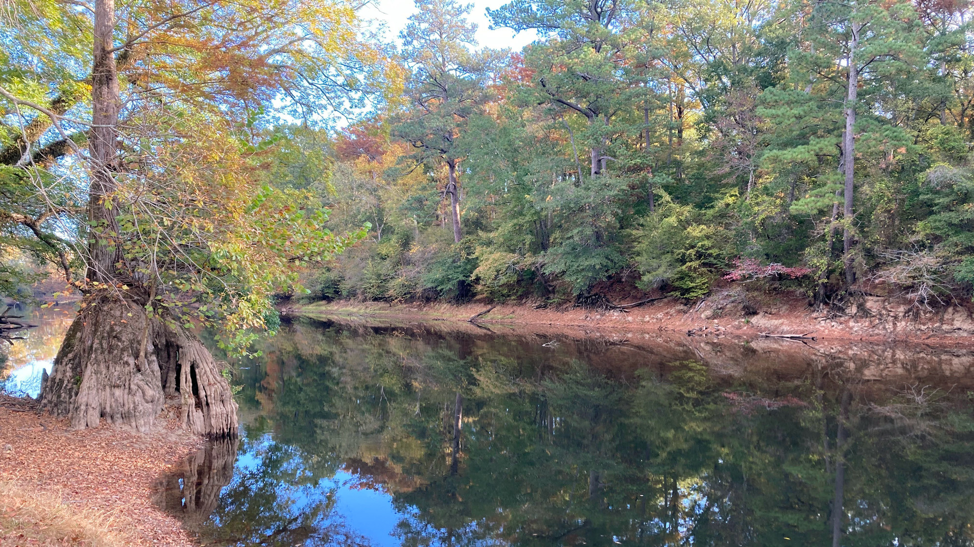 The Nottoway River surrounded by trees on each side 