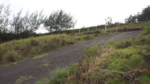 The driveway